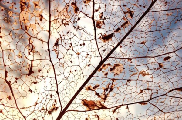 Mother Nature cannot be blamed for the suffering of people