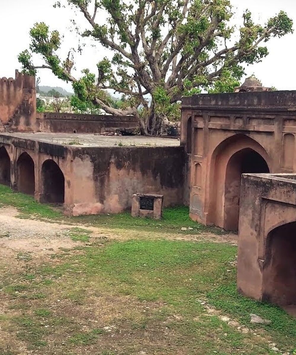 J&K A Dream Destination: Chingus Sarai