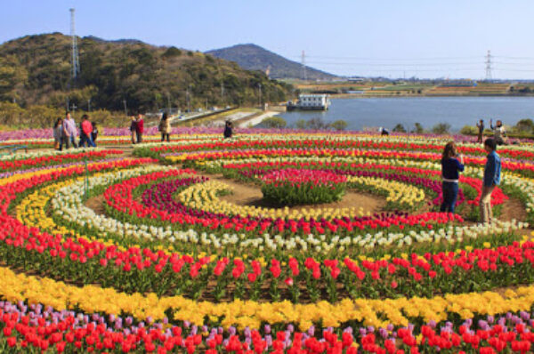 J&K: A Dream Destination : Jammu Flower Garden