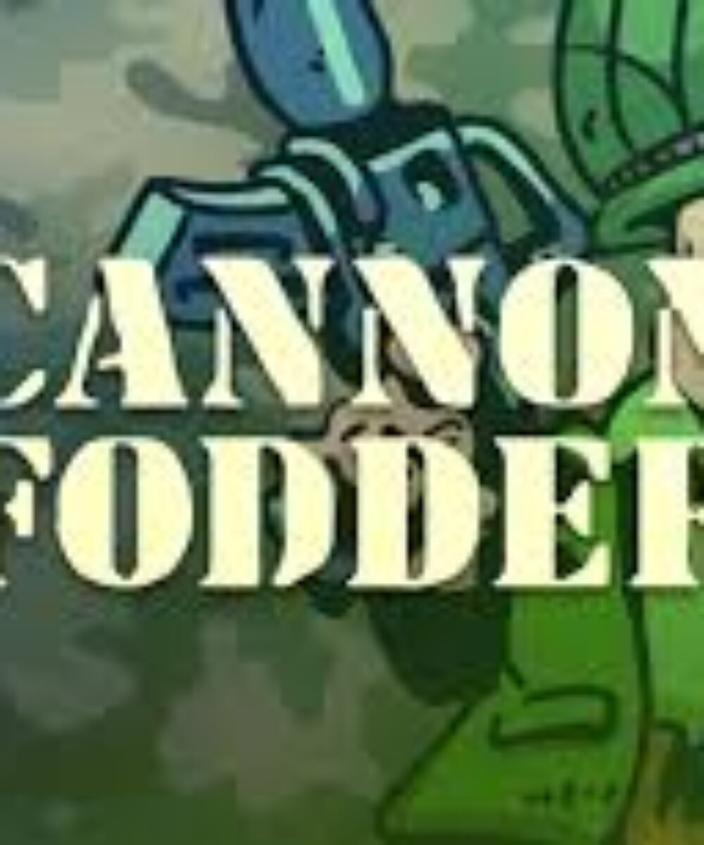 Using Common People As Cannon Fodder A Dangerous Trend!