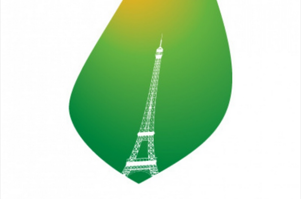 What Will Change After Climate Pact At COP21?